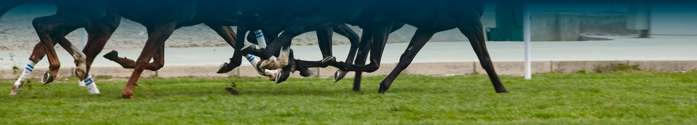 Morans Menswear Race Day Edit