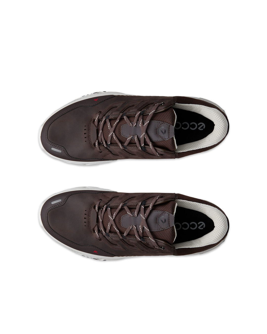 ECCO RECEPTOR WATERPROOF  XP M COFFE SHOE