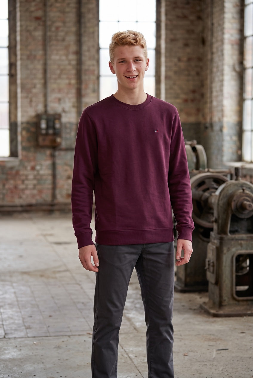 TOMMY JEANS  BERRY REG S FLAG CREW NECK SWEAT