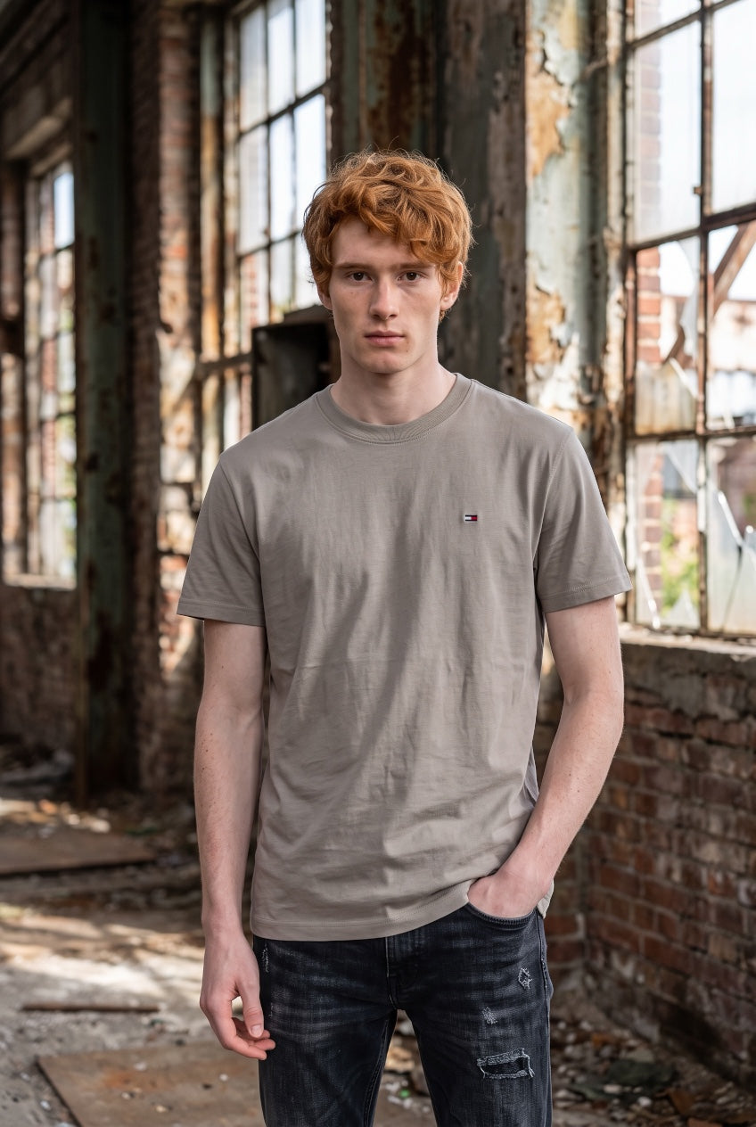 TOMMY JEANS  LIMESTONE REG FLAG SS TEE